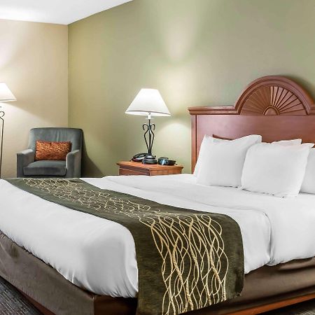 Comfort Inn Pine Grove I-81 Hershey Area Zewnętrze zdjęcie
