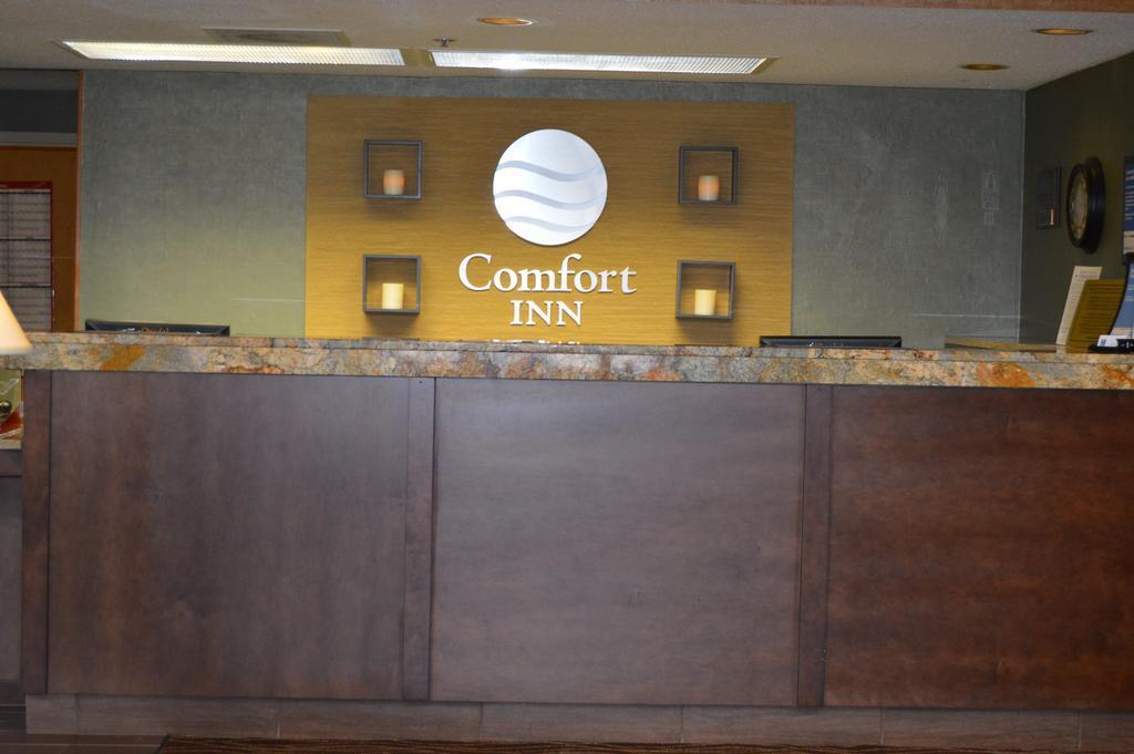 Comfort Inn Pine Grove I-81 Hershey Area Zewnętrze zdjęcie